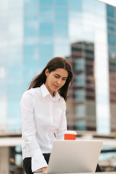 Hermosa mujer sonriendo usando el ordenador portátil mientras está sentado y trabajando — Foto de Stock