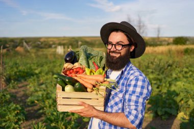 Çiftçi bir kutu sebze tutuyor. Sonbahar hasadı.