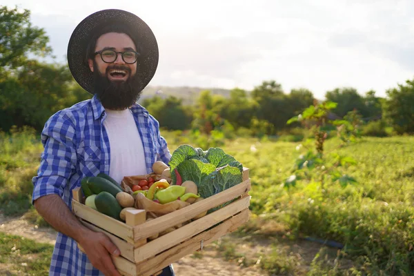 Çiftçi bir kutu sebze tutuyor. Sonbahar hasadı.