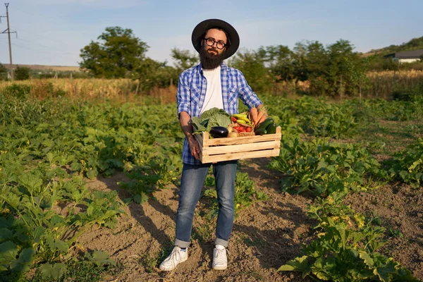 The farmer holds a box of vegetables. Autumn harvest. — Stock Photo, Image