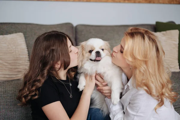 Anne, kız ve sevimli köpek. — Stok fotoğraf