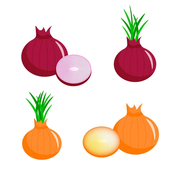 Zestaw różnych rodzajów cebuli. Ilustracja logo i wzorów. — Wektor stockowy