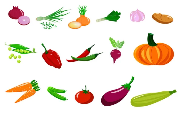 Zestaw z różnymi warzywami. Świeże warzywa to zdrowa żywność. — Wektor stockowy