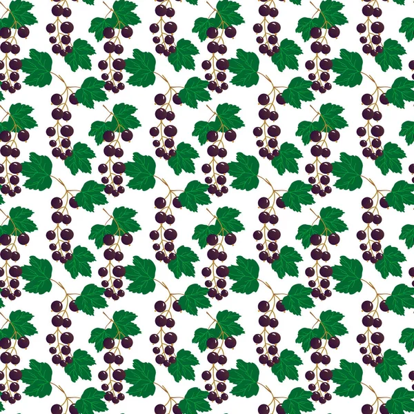 Μοτίβο από κλαδιά μαύρης σταφίδας και πράσινα φύλλα. Εικονογράφηση φρούτων. — Διανυσματικό Αρχείο