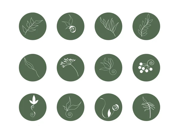 Set di modelli di social media botanici rotondi. Icone con foglie su sfondo verde. — Vettoriale Stock