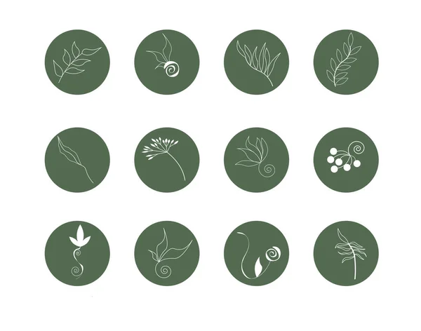 전체적 인 식물학적 소셜 미디어 템플릿 세트. 푸른 배경에 잎이 달린 성좌. — 스톡 벡터