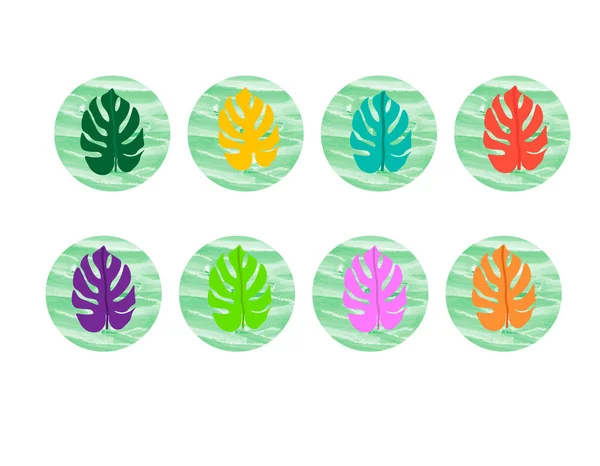Distintivi rotondi per copertine di social media con foglie tropicali. — Vettoriale Stock