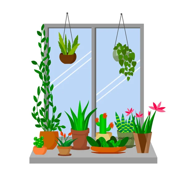 Pencere pervazında saksıda çiçekler. Penceresinde ev bitkileri olan iç çizimler. — Stok Vektör
