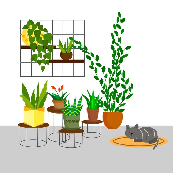 Зеленые растения в горшках в интерьере дома. Цветы и растения. — стоковый вектор