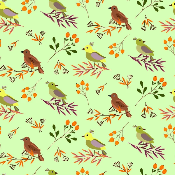 Pattern with forest birds on the branches. Forest grass and orange berries. — Stock Vector