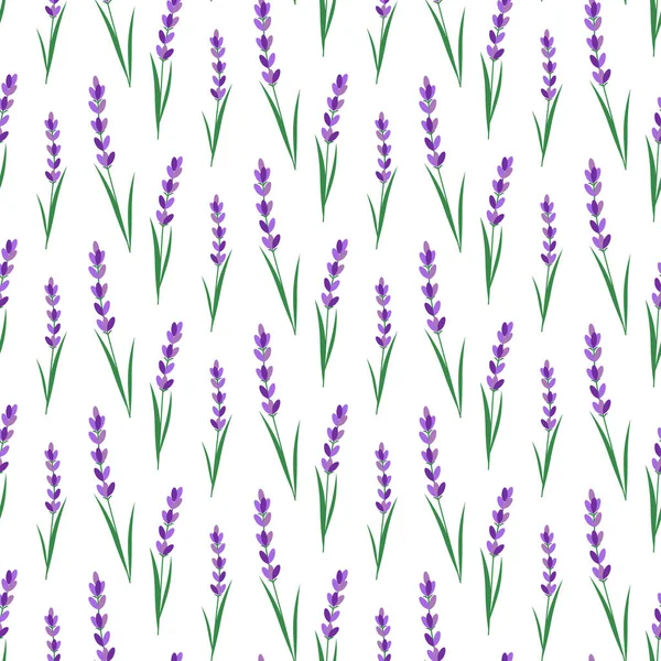 Patroon met lavendelbloemen. Vectorillustratie. — Stockvector