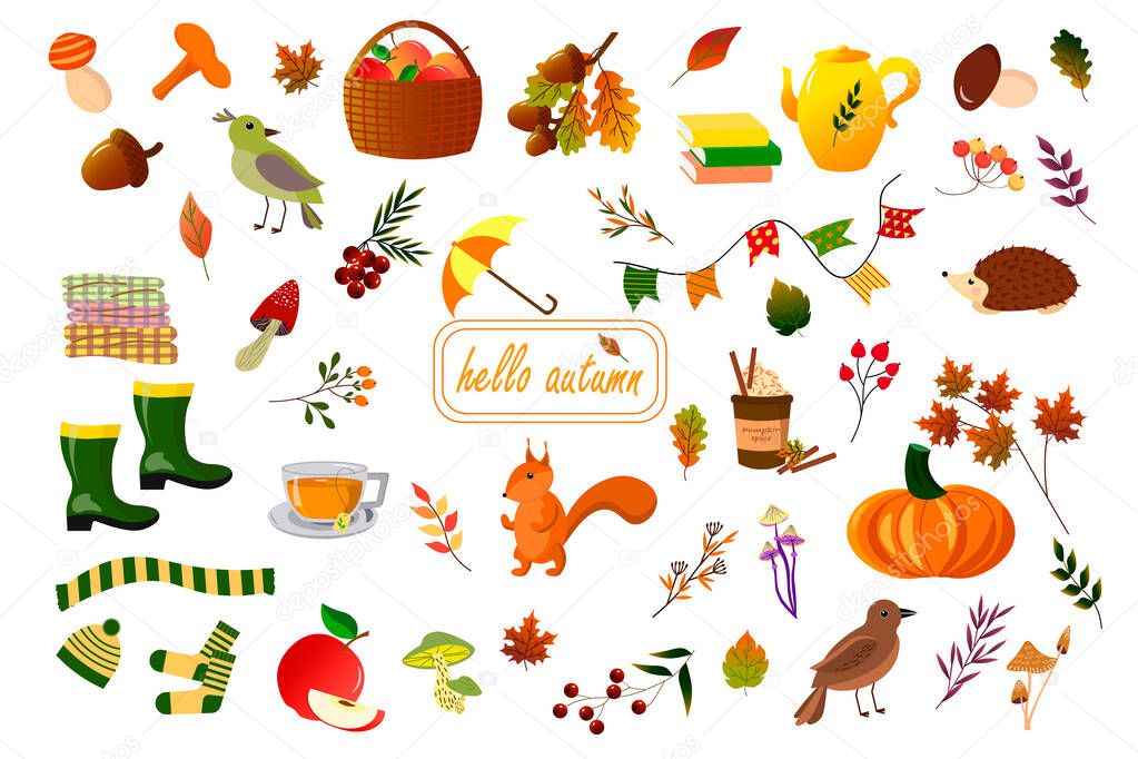 Autumn attributes are leaves, berries and mushrooms, a hedgehog, a squirrel, an umbrella and warm clothes. 