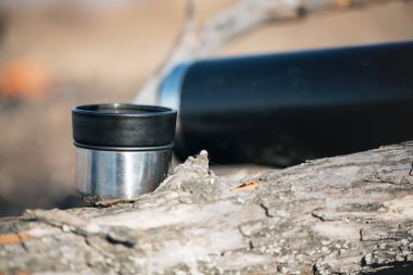 Kurumuş ağaç dalında bir fincan çay ve süpürge şişesi yakın..