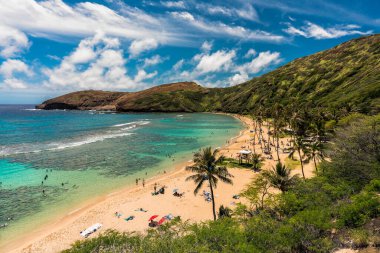 High angle view of Hanauma Bay Beach and people relaxing and snorkeling in clear ocean water clipart