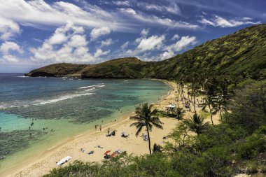 High angle view of Hanauma Bay Beach and people relaxing and snorkeling in clear ocean water clipart