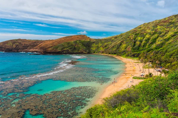 Plongée Avec Tuba Récif Corallien Hanauma Bay Oahu Hawaï États — Photo