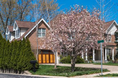 Garajı olan tipik bir Amerikan evinin önündeki çiçek açan ağaç. Seçici odak