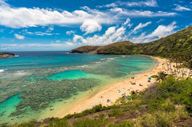 Aerial view of Hanauma Bay Beach and people relaxing and snorkeling in clear ocean water clipart