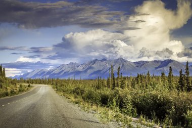 Alaska karayolu üzerinde boş yol