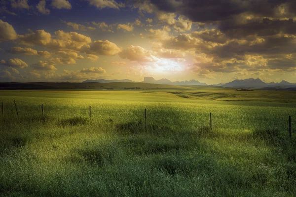 Granja americana al atardecer — Foto de Stock