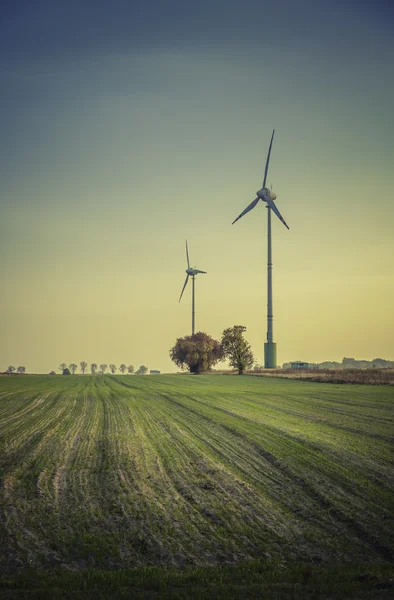 Wind turbines silhouette in the meadow — Stock Photo, Image