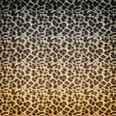 Leopar deseni