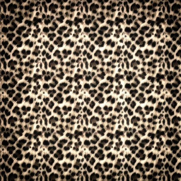 Padrão de leopardo fundo — Fotografia de Stock