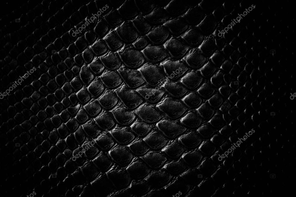 Crocodile black skin texture Stock Photo by ©marchello74 58728167