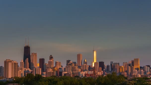 Chicago Centrum skyline — Stockvideo