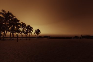 Miami South Beach park alacakaranlıkta