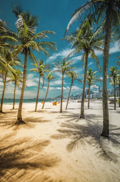 Praia de Copacabana com palmeiras no Rio de Janeiro — Fotografia de Stock