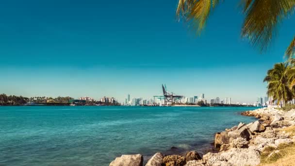 Bahía de Miami con puerto — Vídeo de stock