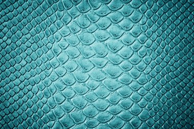 Turkuaz timsah derisi