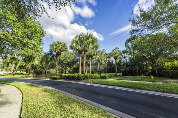 Gated community curvy road — Stock Photo, Image