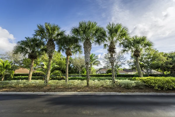 Gated community houses — Stock Photo, Image