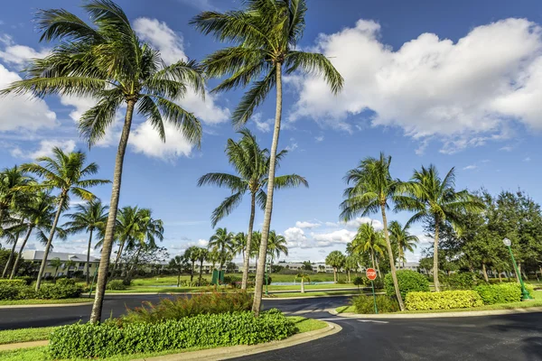 Gated community condominiums — Stock Photo, Image