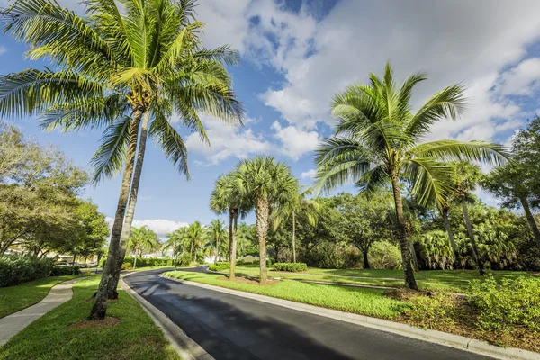 Gated Community Road — Stockfoto