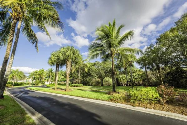 Gated Community Road — Stockfoto