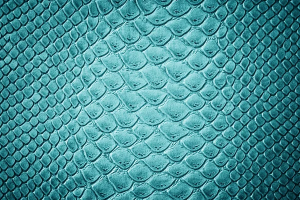 Crocodile turquoise skin — Stock Photo, Image