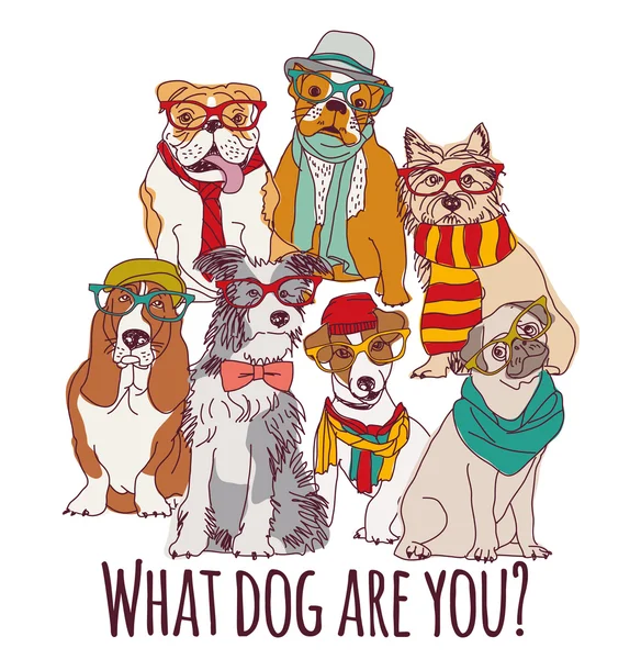 Groupe hipster chien mode — Image vectorielle