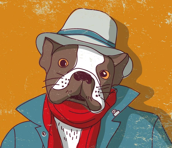 Bulldog francés en ropa — Archivo Imágenes Vectoriales