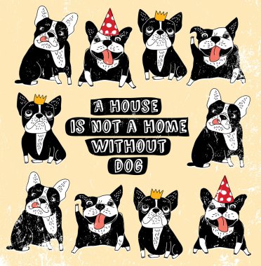 Grup üzüntü duyuyorum, köpekler Fransızca