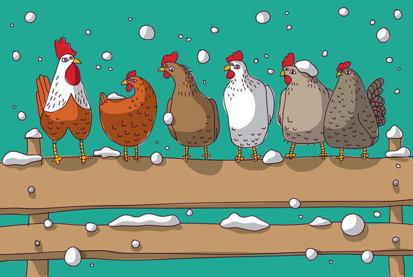 Winter group chicken