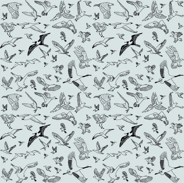 Color birds set seamless pattern — Stock Vector