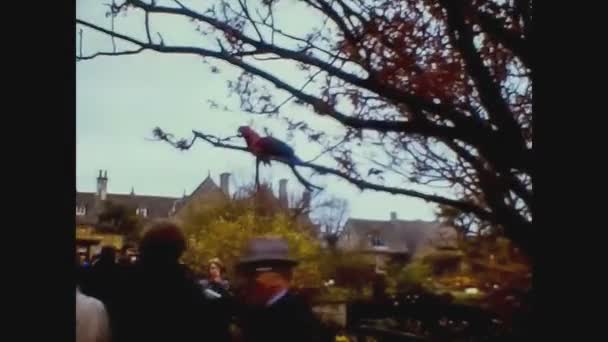 Royaume-Uni 1965, Bristol zoo vue dans les années 60 6 — Video