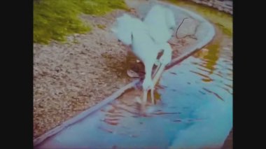 Birleşik Krallık 1965, Pelikanlar hayvanat bahçesinde 2