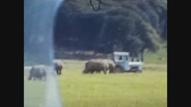 Verenigd Koninkrijk 1966, Tractor and animals in a farm — Stockvideo