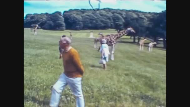 Verenigd Koninkrijk 1966, Giraffe in de dierentuin — Stockvideo