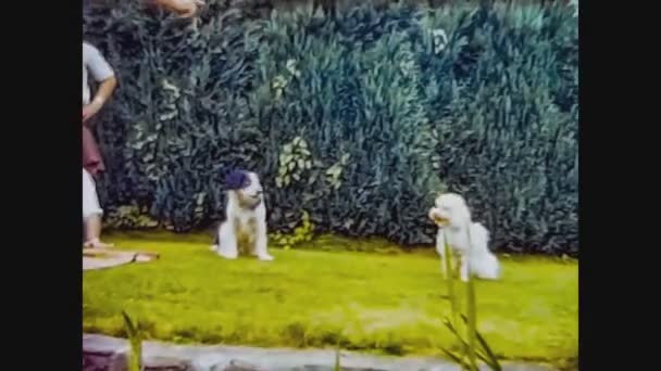 イギリス1968年、男は庭で犬と遊ぶ — ストック動画