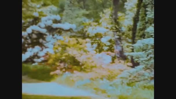 Birascar 1966, Fiore in Giardino dettaglio 2 — Video Stock